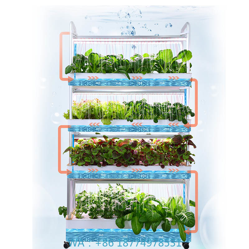 Smart Home Automation System - ydroponic Planting System Smart Home Automation