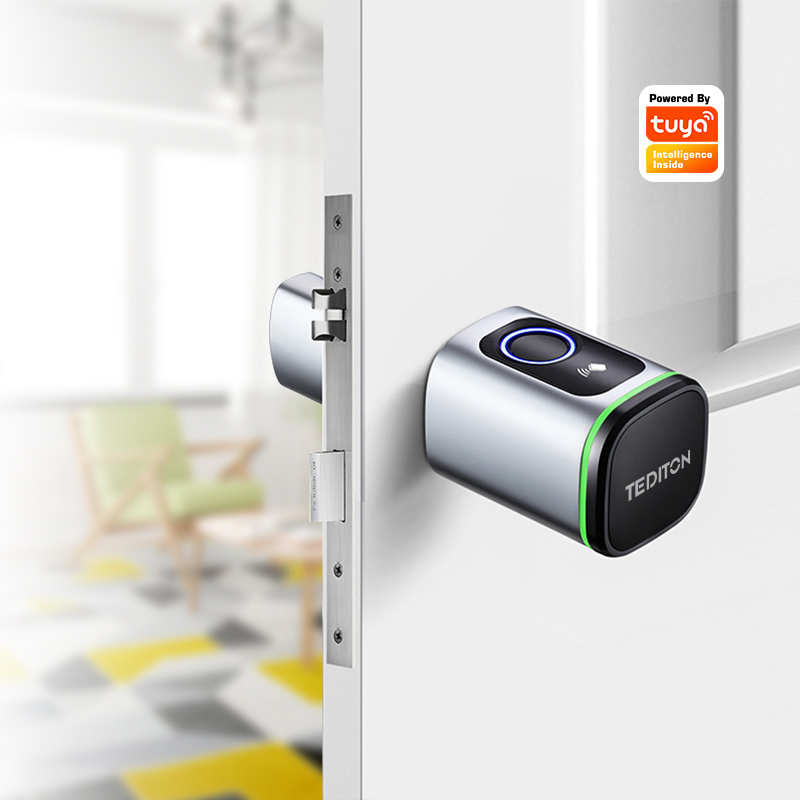 Tuya Wifi Smart Cylinder Door  - Airbnb Smart Home 评论和价格