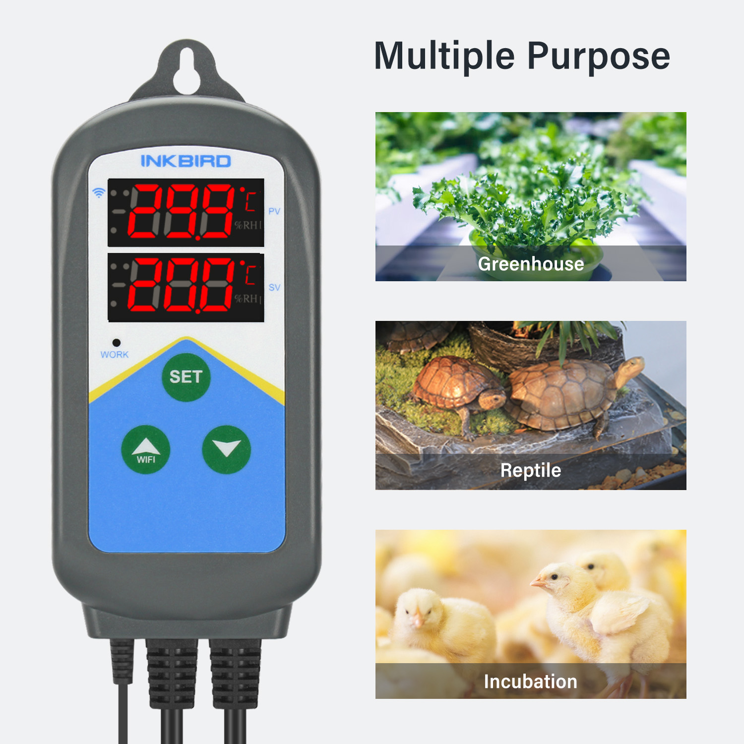 INKBIRD WIFI Thermoregulator I - Wifi Thermostat 评论和价格