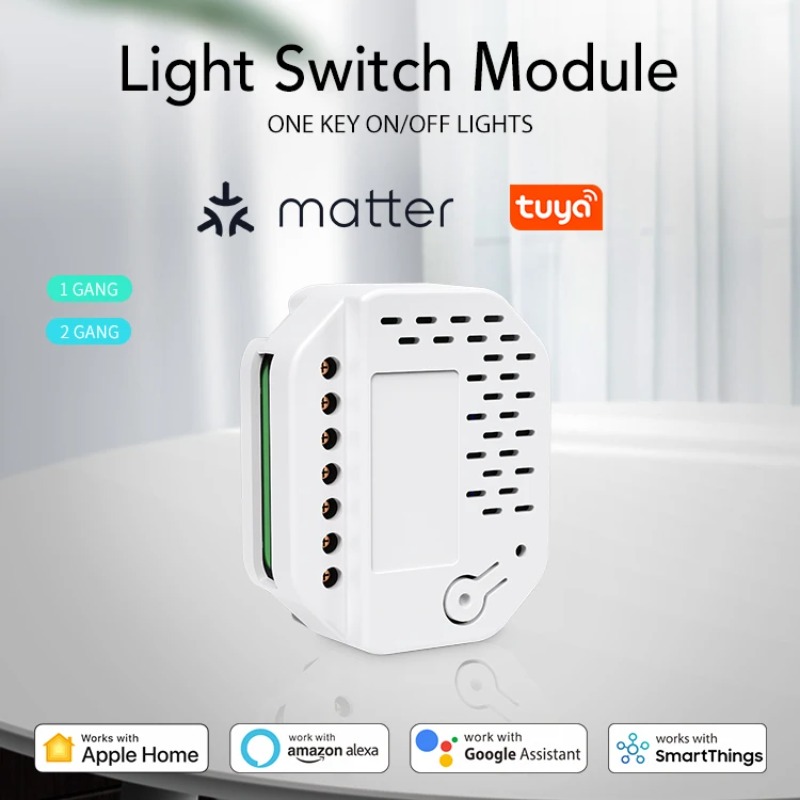 Matter Light Switch Module 2Ga - Smart Home Automation 评论和价格