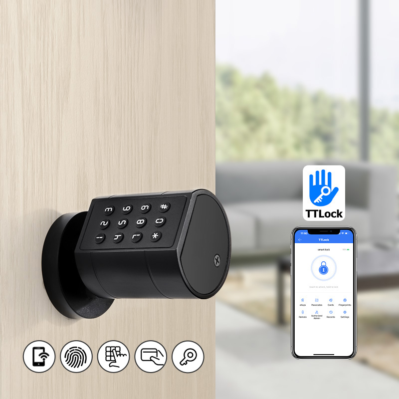 Smart Euro Cylindrical Door Lo - Smart Home Gateway 评论和价格