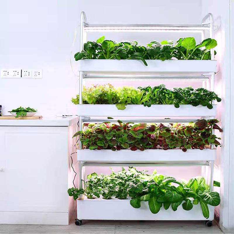 ydroponic Planting System Smar - Smart Home Automation System 评论和价格