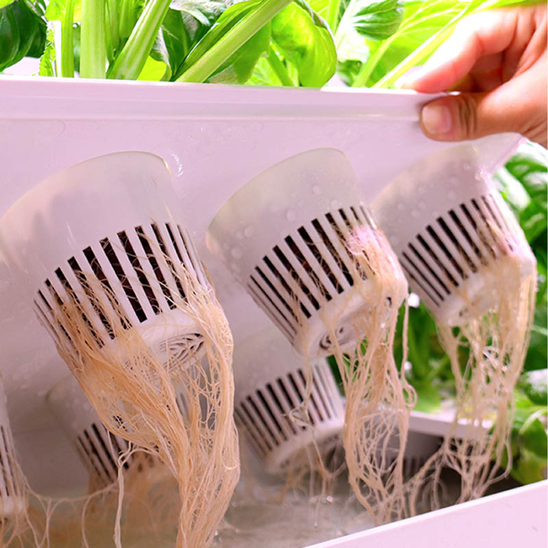 ydroponic Planting System Smar - Smart Home Automation System 评论和价格