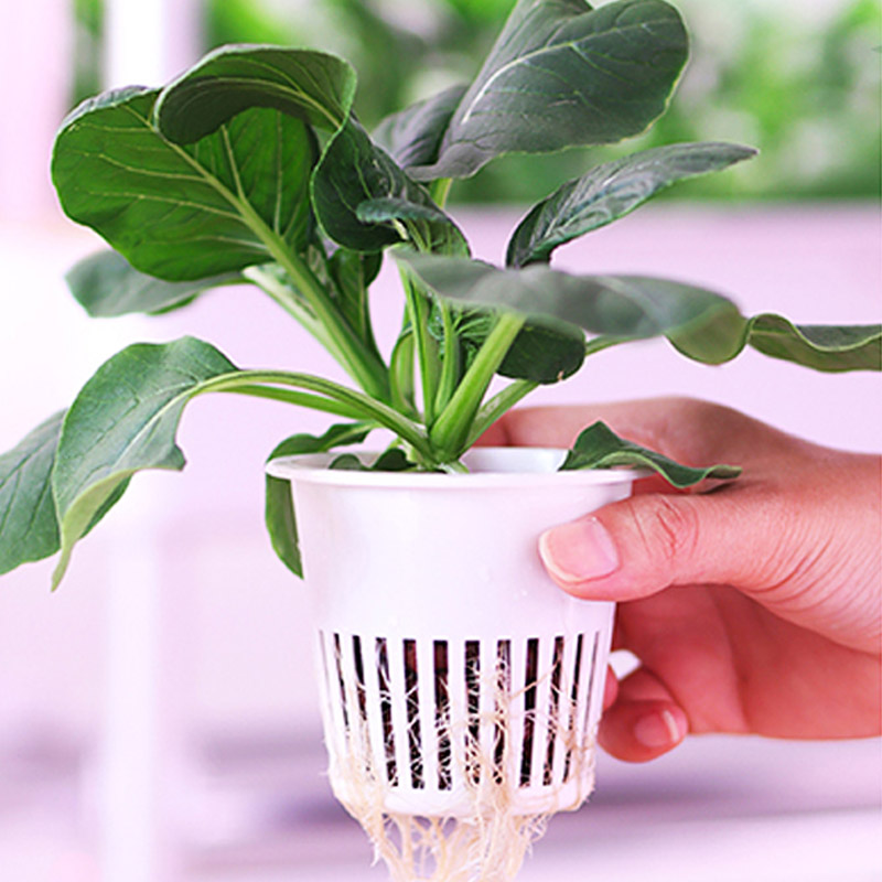 ydroponic Planting System Smar - Smart Home Automation System 评论和价格