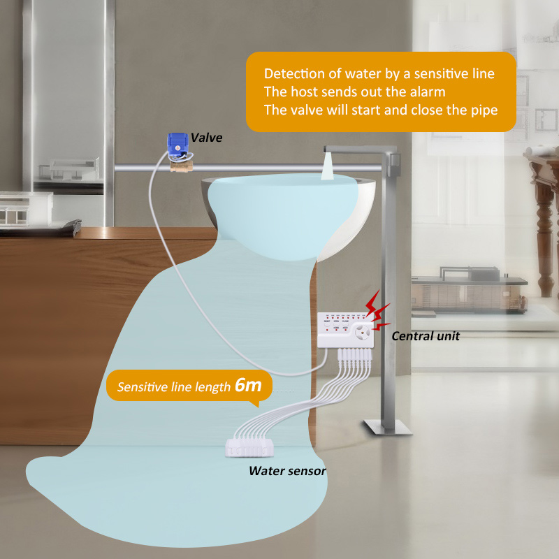 Water Leakage Sensor Smart Lif - Smart Home Water Level Sensor 评论和价格