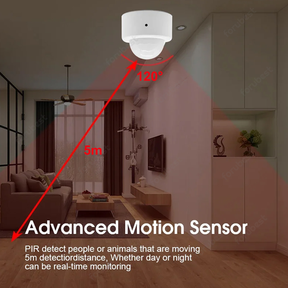 Zigbee 3.0 Human Motion Sensor - Smart Home Security 评论和价格
