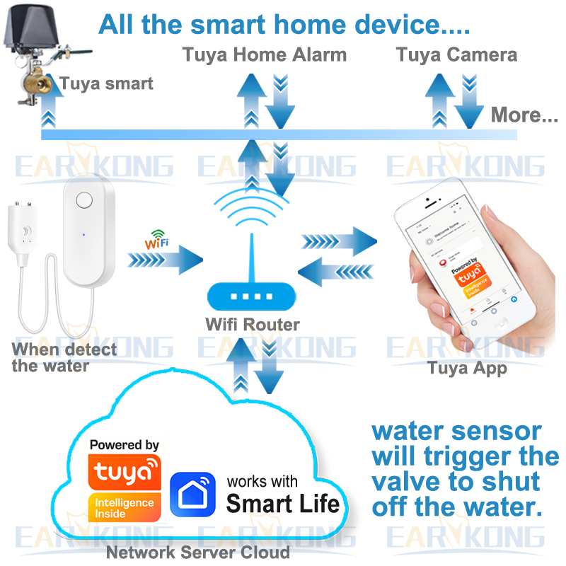 Tuya WiFi Smart Water Leak Sen - Wifi Water Sensor 评论和价格